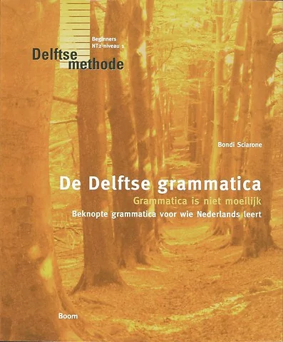 کتاب گرامر زبان هلندی De Delftse grammatica