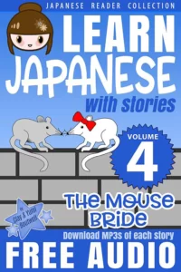 لرن جپنیز ویت استریز 4 | خرید کتاب آموزش زبان ژاپنی 4 Learn Japanese with Stories Volume