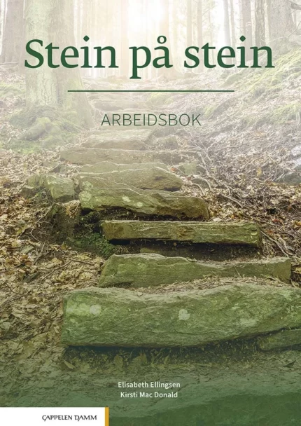 استاین پا استاین کتاب زبان نروژی 2021 Stein pa stein Arbeidsbok (کتاب تمرین)