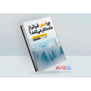 کتاب چرا ذهن فراتر از ماده کار می کند اثر دیوید آر. همیلتون