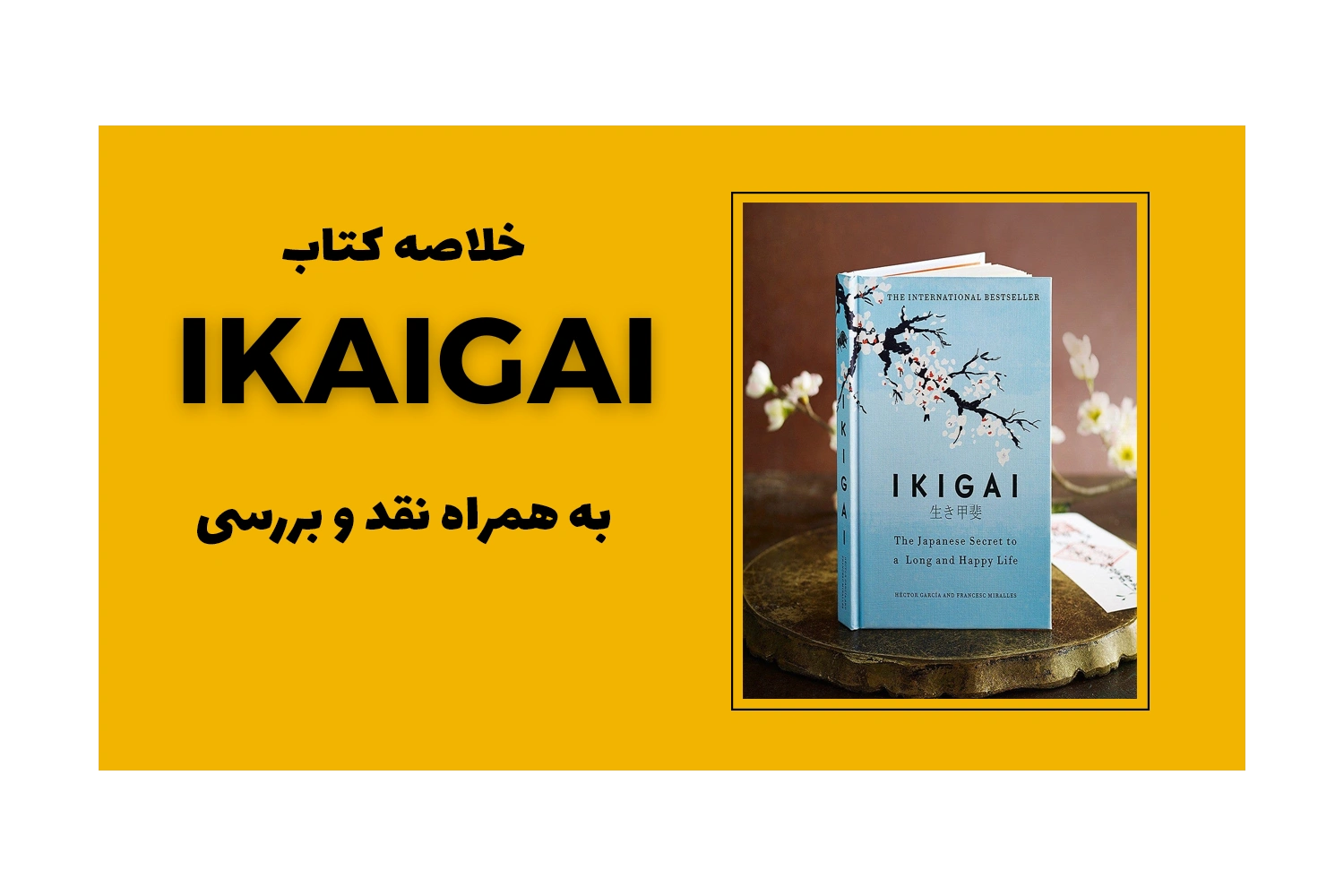 خلاصه کتاب Ikigai به همراه نقد و بررسی